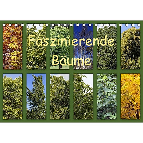 Faszinierende Bäume (Tischkalender 2023 DIN A5 quer), Anette/Thomas Jäger