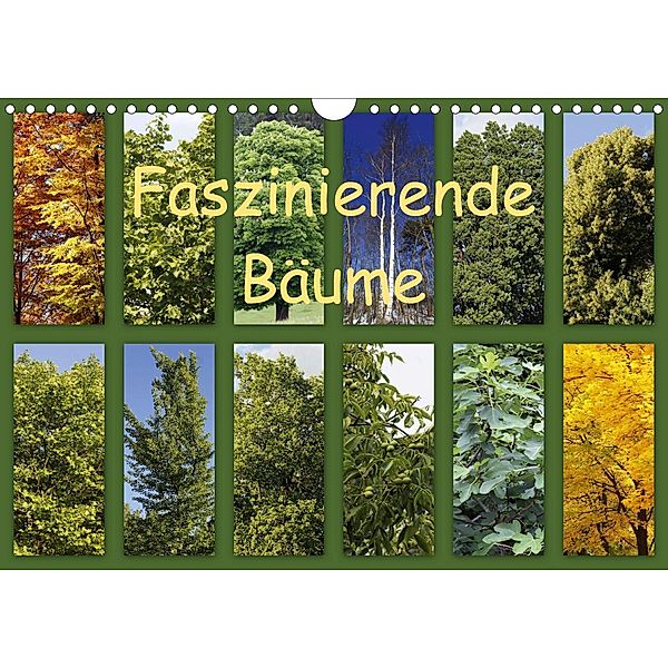 Faszinierende Bäume (Wandkalender 2021 DIN A4 quer), Anette/Thomas Jäger