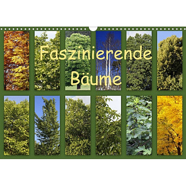 Faszinierende Bäume (Wandkalender 2022 DIN A3 quer), Anette/Thomas Jäger
