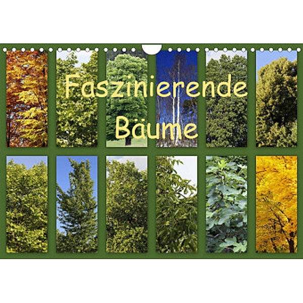 Faszinierende Bäume (Wandkalender 2022 DIN A4 quer), Anette/Thomas Jäger