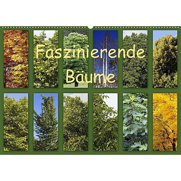 Faszinierende Bäume (Wandkalender 2023 DIN A2 quer), Anette/Thomas Jäger