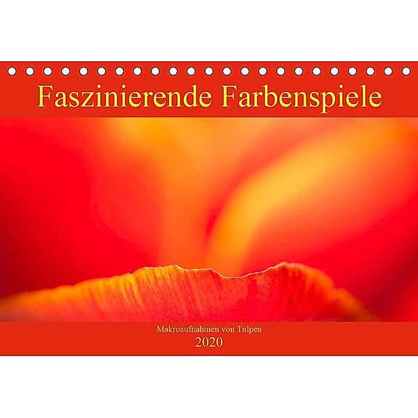 Faszinierende Farbenspiele - Makroaufnahmen von Tulpen (Tischkalender 2020 DIN A5 quer), Monika Scheurer