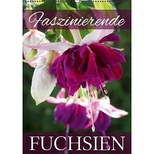 Faszinierende Fuchsien (Wandkalender 2015 DIN A2 hoch), Martina Cross