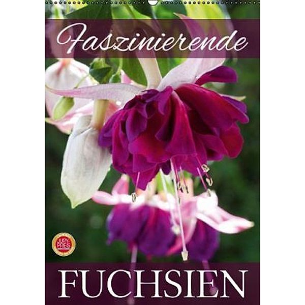 Faszinierende Fuchsien (Wandkalender 2016 DIN A2 hoch), Martina Cross