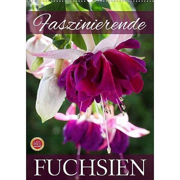 Faszinierende Fuchsien (Wandkalender 2023 DIN A2 hoch), Martina Cross