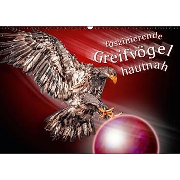 Faszinierende Greifvögel hautnah (Wandkalender 2016 DIN A2 quer), Dieter Gödecke