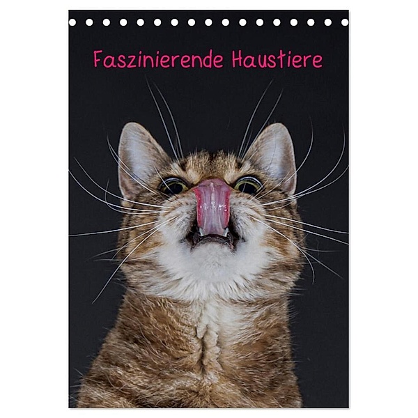 Faszinierende Haustiere (Tischkalender 2024 DIN A5 hoch), CALVENDO Monatskalender, Wiebke von der Heyde