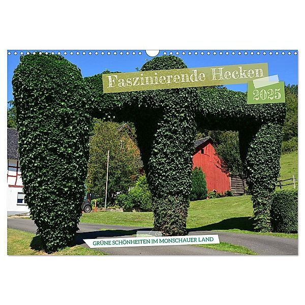 Faszinierende Hecken - Grüne Schönheiten im Monschauer Land (Wandkalender 2025 DIN A3 quer), CALVENDO Monatskalender, Calvendo, Jean-Louis Glineur