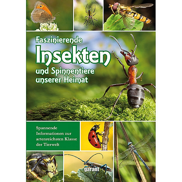 Faszinierende Insekten und Spinnentiere unserer Heimat