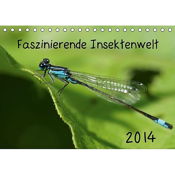 Faszinierende Insektenwelt (Tischkalender 2014 DIN A5 quer), Anke Grau