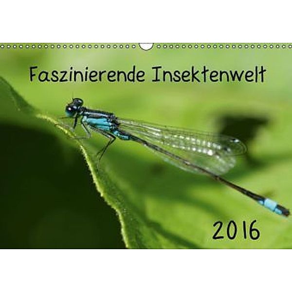 Faszinierende Insektenwelt (Wandkalender 2016 DIN A3 quer), Anke Grau