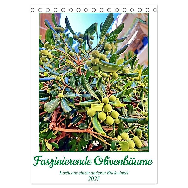 Faszinierende Olivenbäume (Tischkalender 2025 DIN A5 hoch), CALVENDO Monatskalender, Calvendo, Katharina Stachanczyk