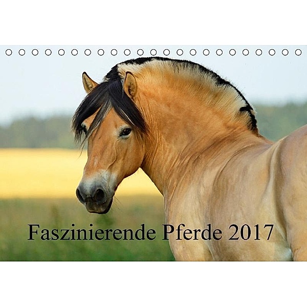 Faszinierende Pferde 2017 (Tischkalender 2017 DIN A5 quer), Sandra Ludwig