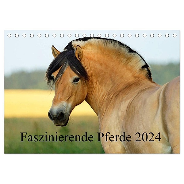 Faszinierende Pferde 2024 (Tischkalender 2024 DIN A5 quer), CALVENDO Monatskalender, Sandra Ludwig