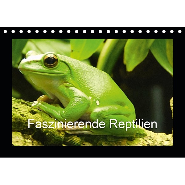 Faszinierende Reptilien (Tischkalender 2021 DIN A5 quer), Sven Herkenrath