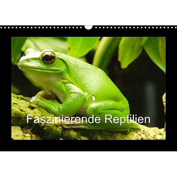Faszinierende Reptilien (Wandkalender 2023 DIN A3 quer), Sven Herkenrath