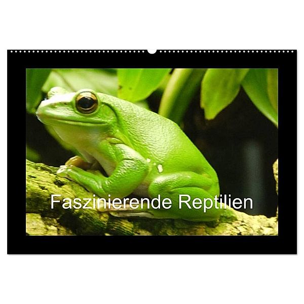 Faszinierende Reptilien (Wandkalender 2024 DIN A2 quer), CALVENDO Monatskalender, Sven Herkenrath