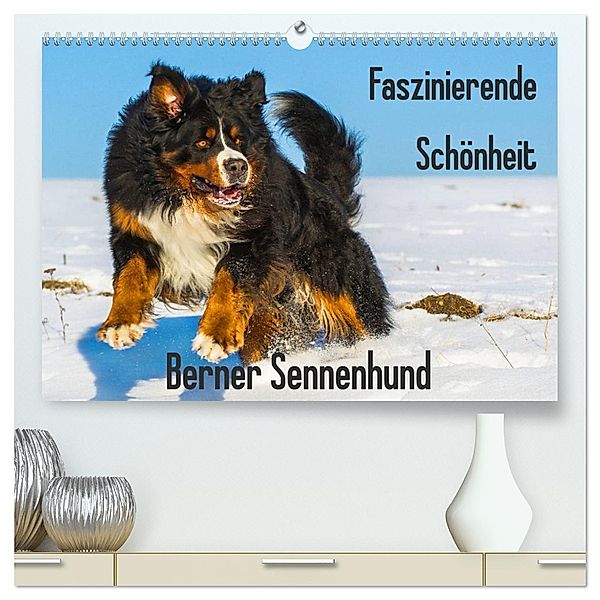 Faszinierende Schönheit Berner Sennenhund (hochwertiger Premium Wandkalender 2025 DIN A2 quer), Kunstdruck in Hochglanz, Calvendo, Sigrid Starick