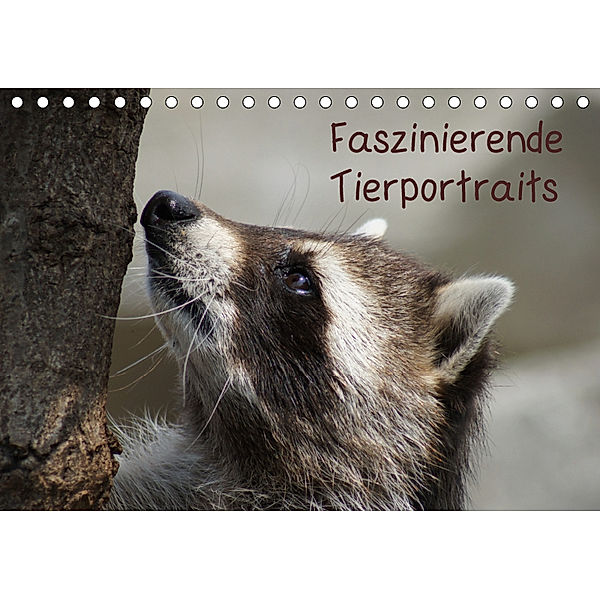 Faszinierende Tierportraits (Tischkalender 2019 DIN A5 quer), Kattobello