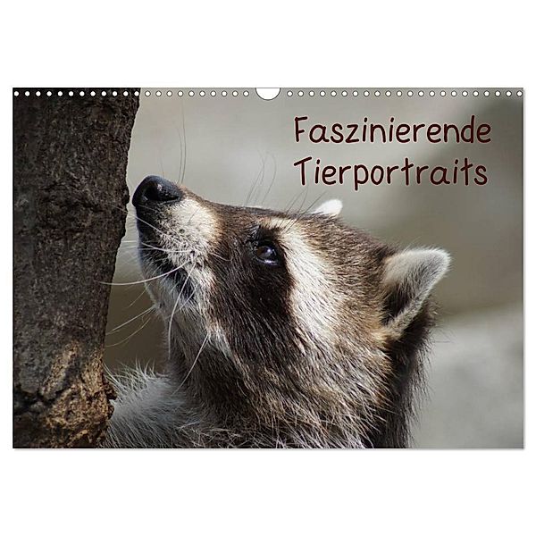 Faszinierende Tierportraits (Wandkalender 2024 DIN A3 quer), CALVENDO Monatskalender, Kattobello