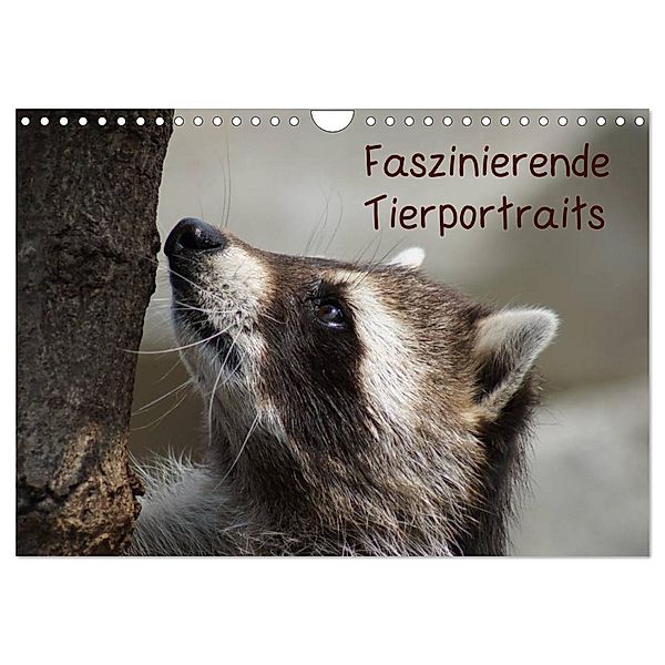 Faszinierende Tierportraits (Wandkalender 2024 DIN A4 quer), CALVENDO Monatskalender, Kattobello