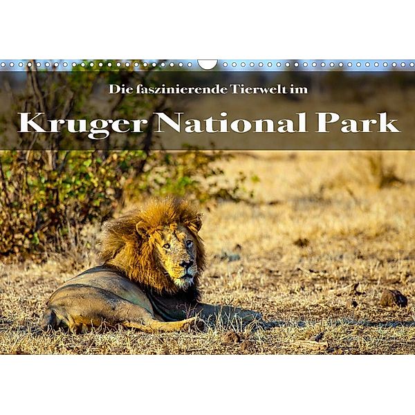 Faszinierende Tierwelt des Kruger National Parks (Wandkalender 2023 DIN A3 quer), Stephan Henting
