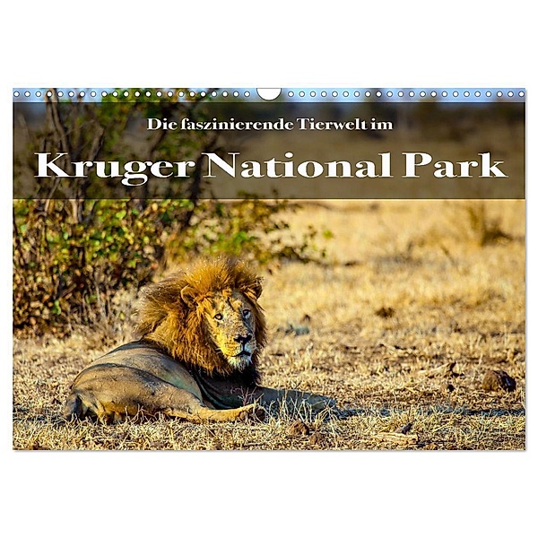 Faszinierende Tierwelt des Kruger National Parks (Wandkalender 2024 DIN A3 quer), CALVENDO Monatskalender, Stephan Henting