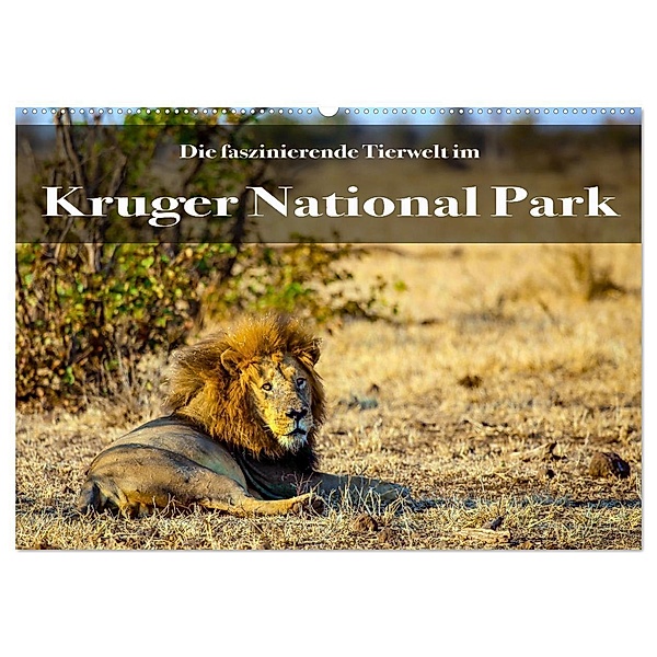 Faszinierende Tierwelt des Kruger National Parks (Wandkalender 2024 DIN A2 quer), CALVENDO Monatskalender, Stephan Henting