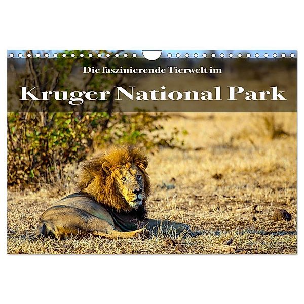 Faszinierende Tierwelt des Kruger National Parks (Wandkalender 2025 DIN A4 quer), CALVENDO Monatskalender, Calvendo, Stephan Henting