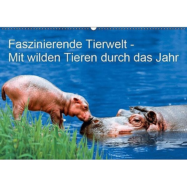 Faszinierende Tierwelt - Mit wilden Tieren durch das Jahr (Wandkalender 2019 DIN A2 quer), Petra Wegner