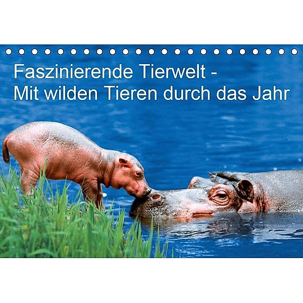 Faszinierende Tierwelt - Mit wilden Tieren durch das Jahr (Tischkalender 2020 DIN A5 quer), Petra Wegner