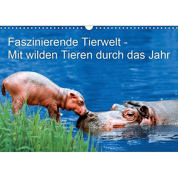 Faszinierende Tierwelt - Mit wilden Tieren durch das Jahr (Wandkalender 2021 DIN A3 quer), Petra Wegner