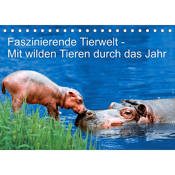 Faszinierende Tierwelt - Mit wilden Tieren durch das Jahr (Tischkalender 2023 DIN A5 quer), Petra Wegner