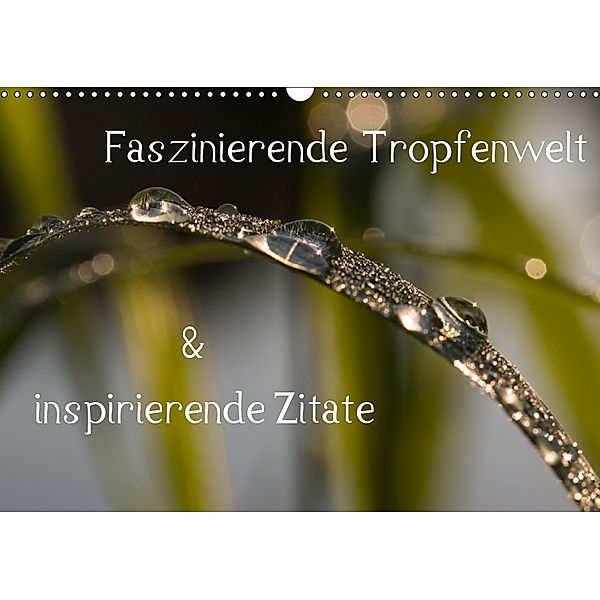 Faszinierende Tropfenwelt & inspirierende Zitate (Wandkalender 2019 DIN A3 quer), Andrea Potratz