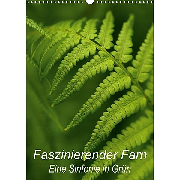 Faszinierender Farn - Eine Sinfonie in Grün (Wandkalender 2017 DIN A3 hoch), Brigitte Deus-Neumann