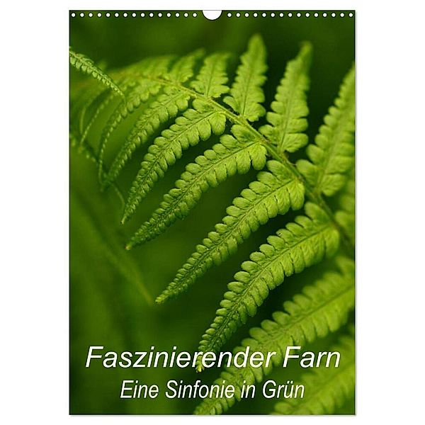 Faszinierender Farn - Eine Sinfonie in Grün (Wandkalender 2024 DIN A3 hoch), CALVENDO Monatskalender, Dr. Brigitte Deus-Neumann