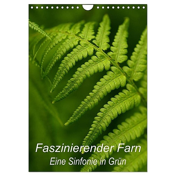 Faszinierender Farn - Eine Sinfonie in Grün (Wandkalender 2024 DIN A4 hoch), CALVENDO Monatskalender, Dr. Brigitte Deus-Neumann