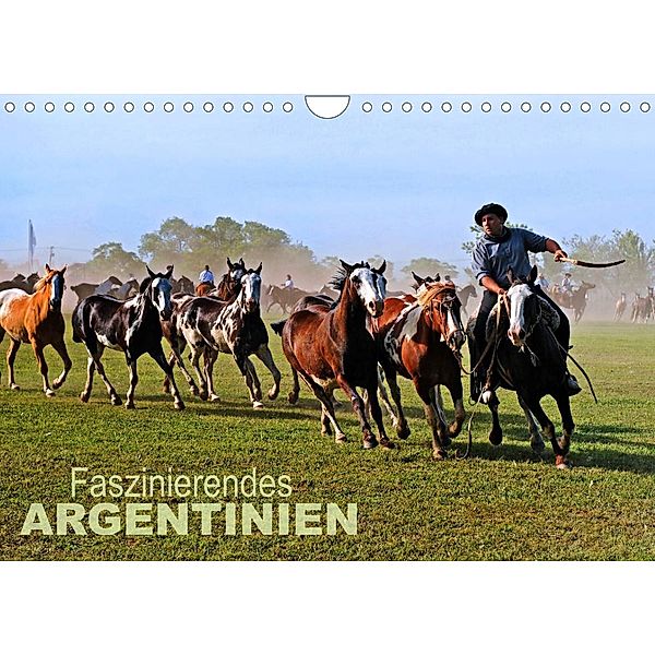 Faszinierendes Argentinien (Wandkalender 2023 DIN A4 quer), Bernd Zillich