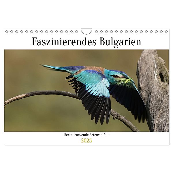 Faszinierendes Bulgarien (Wandkalender 2025 DIN A4 quer), CALVENDO Monatskalender, Calvendo, Winfried Erlwein
