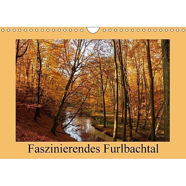 Faszinierendes Furlbachtal (Wandkalender 2017 DIN A4 quer), Marion Maurer