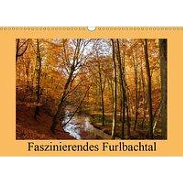 Faszinierendes Furlbachtal (Wandkalender 2019 DIN A3 quer), Marion Maurer