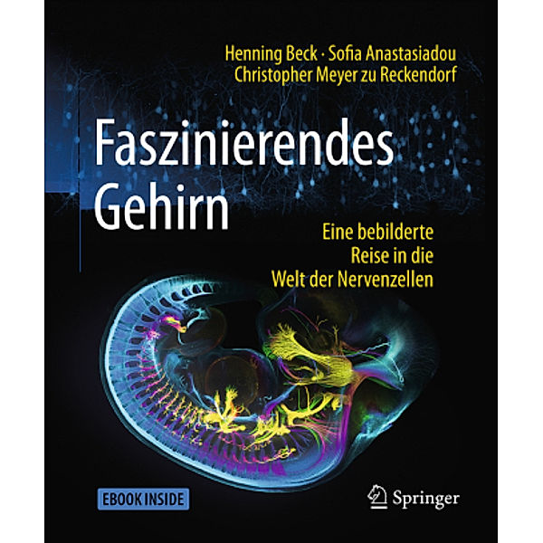 Faszinierendes Gehirn, m. 1 Buch, m. 1 E-Book, Henning Beck, Sofia Anastasiadou, Christopher Meyer zu Reckendorf