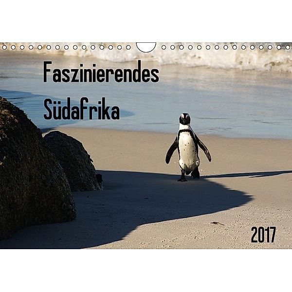 Faszinierendes Südafrika / CH-Version (Wandkalender 2017 DIN A4 quer), Daniela Scholz