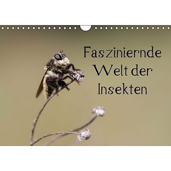 Fasziniernde Welt der Insekten (Wandkalender 2015 DIN A4 quer), Andrea Potratz