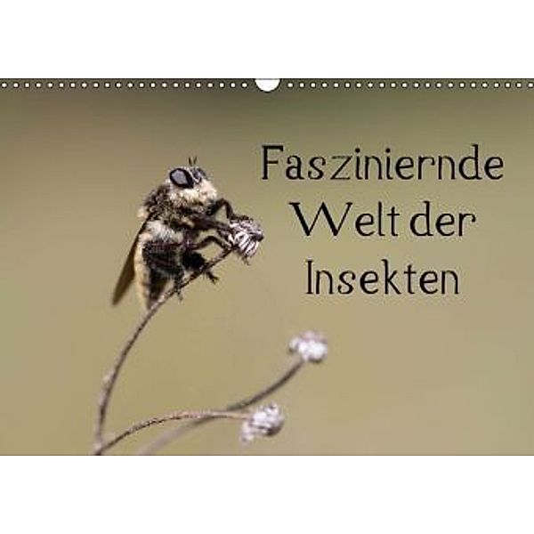 Fasziniernde Welt der Insekten (Wandkalender 2015 DIN A3 quer), Andrea Potratz