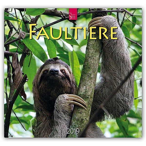 Faultiere 2019