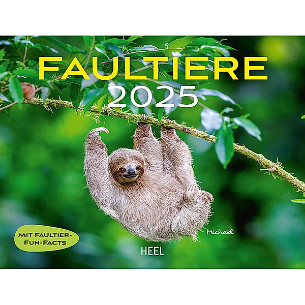 Faultiere Kalender 2025