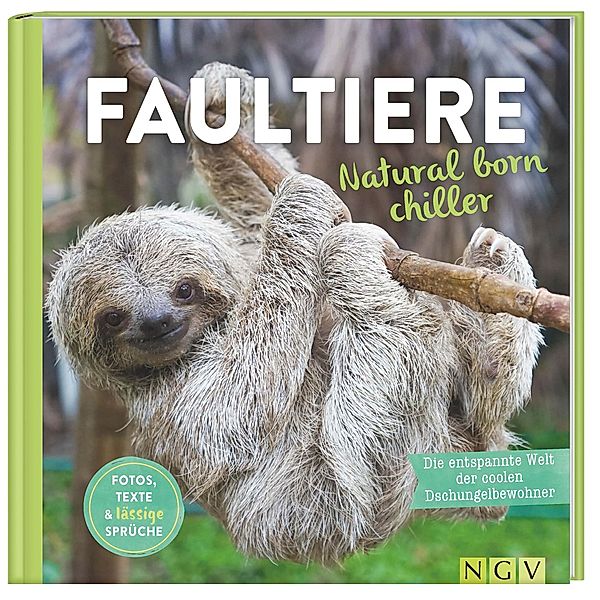 Faultiere - Natural born chiller