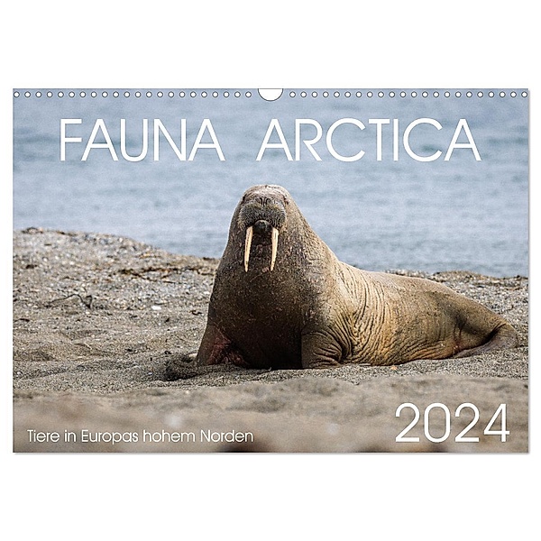 Fauna arctica (Wandkalender 2024 DIN A3 quer), CALVENDO Monatskalender, Sebastian Schröder-Esch, Tobias Schreiter