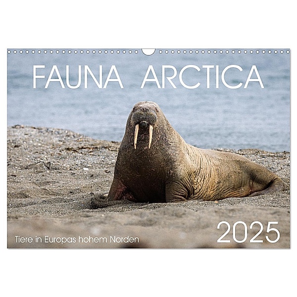 Fauna arctica (Wandkalender 2025 DIN A3 quer), CALVENDO Monatskalender, Calvendo, Sebastian Schröder-Esch, Tobias Schreiter